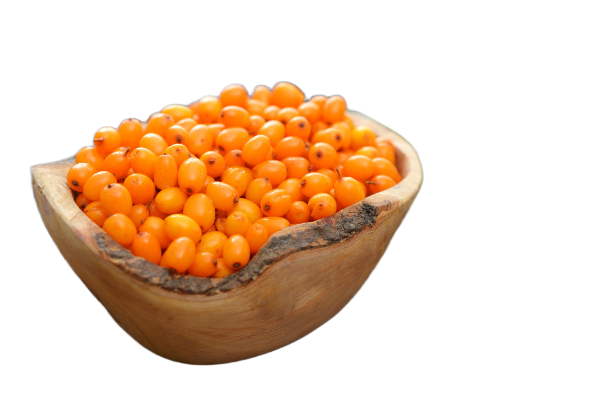Seabuckthorn